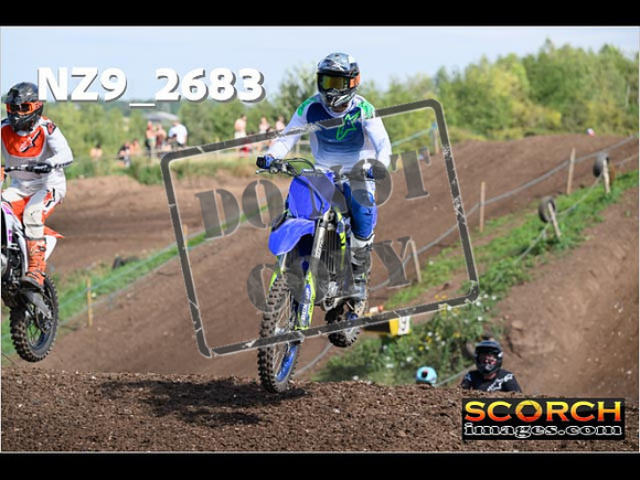 IntersGreenOrange-083