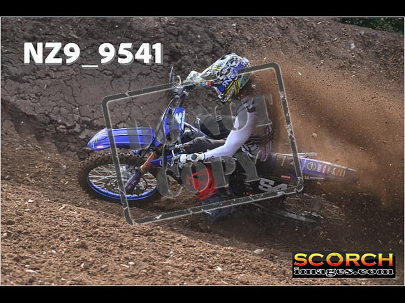 Experts-061