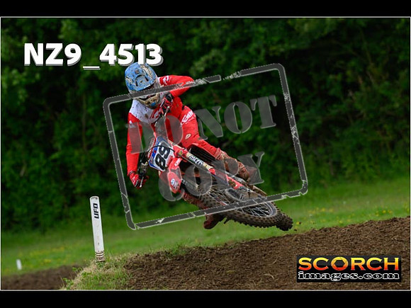 Experts-230