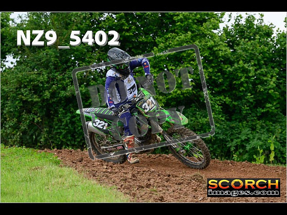 Experts-337