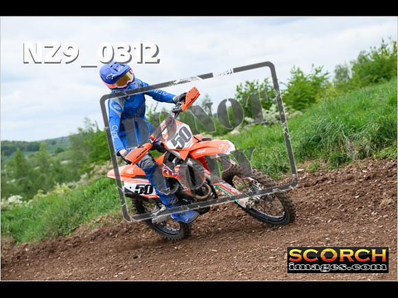 IntersGreen-257