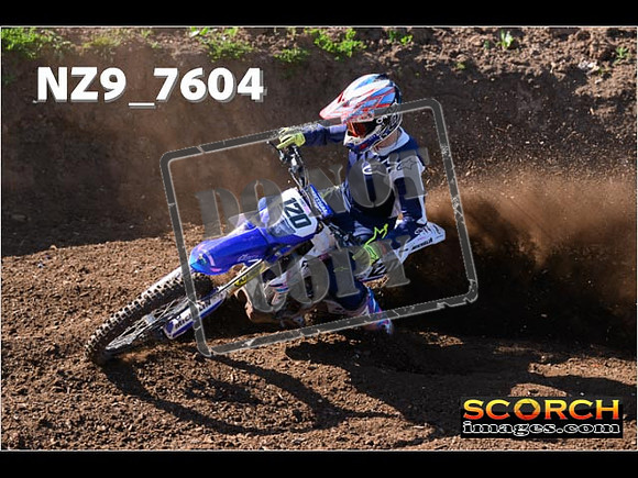 Experts-038