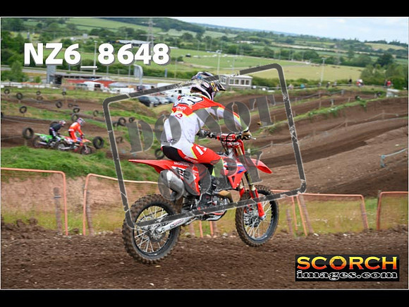 Experts-059