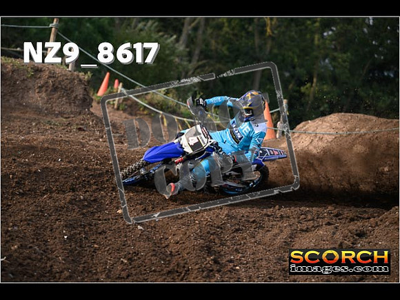 Experts-026