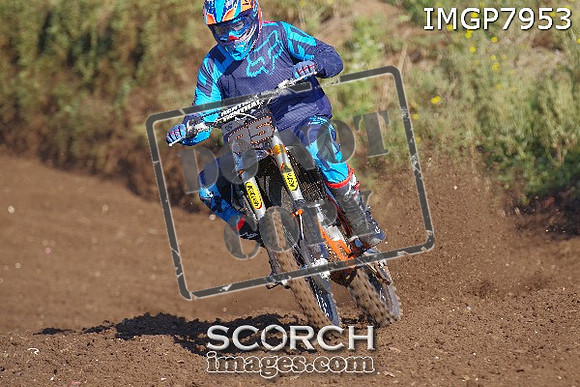 IMGP7953