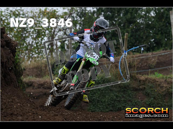 Experts-117