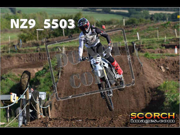 Experts-035