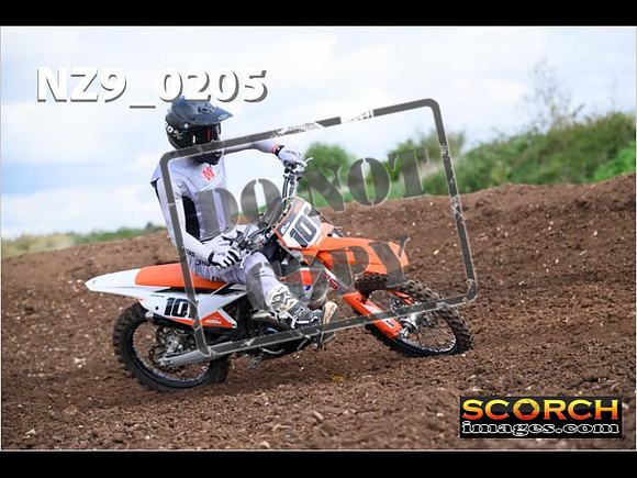 Experts-141