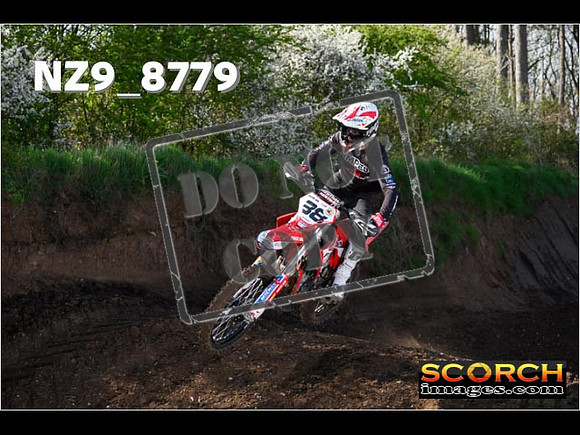 Experts-024