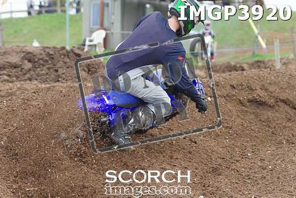 IMGP3920