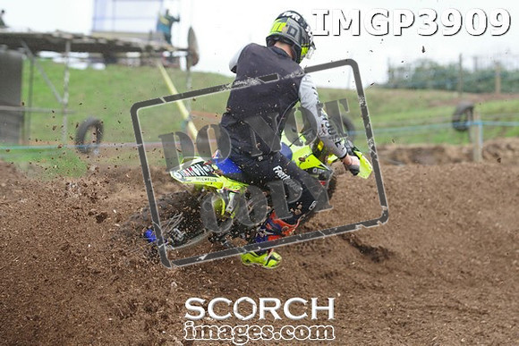 IMGP3909