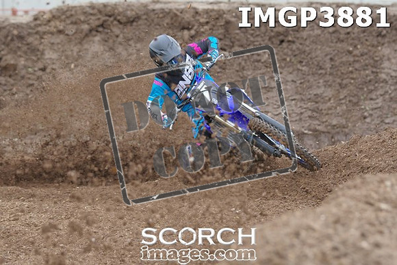 IMGP3881