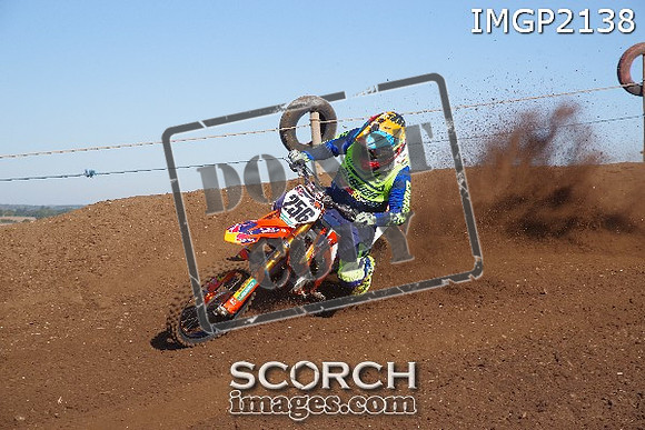 IMGP2138