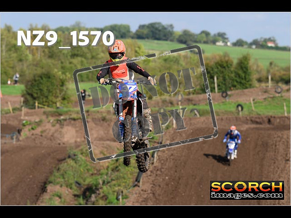 Experts-253