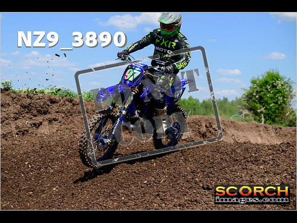 InterGreen-175