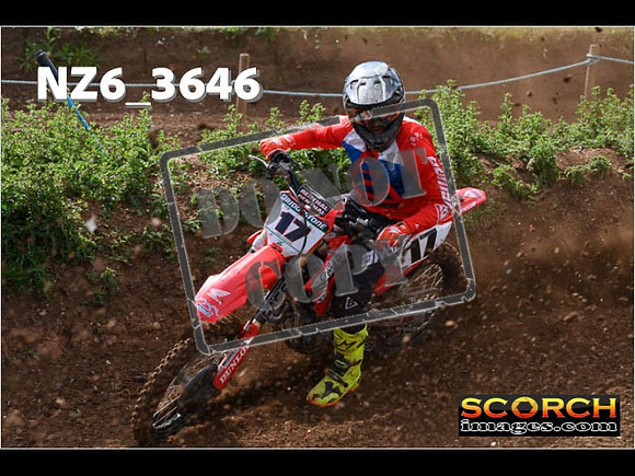 Experts-072