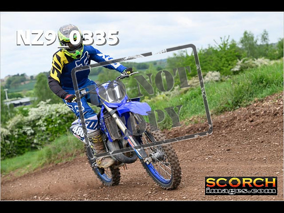 IntersGreen-279