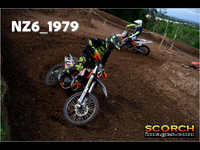 IntersGreen-010