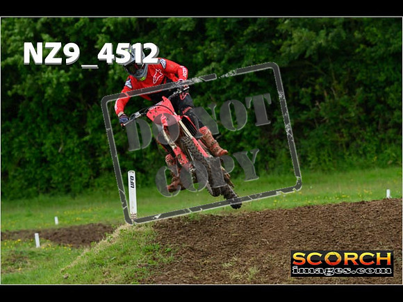 Experts-229