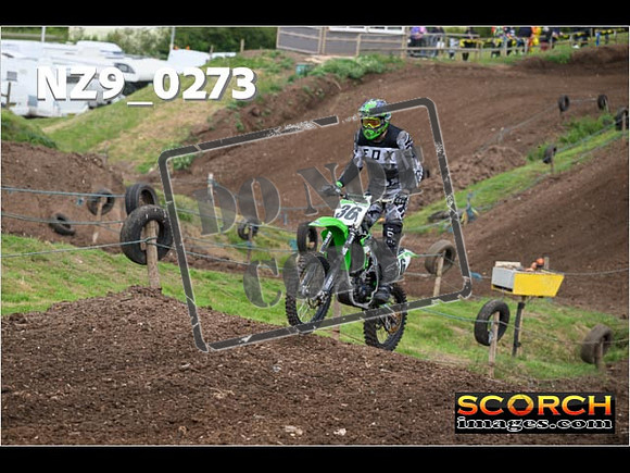 Green Group-005