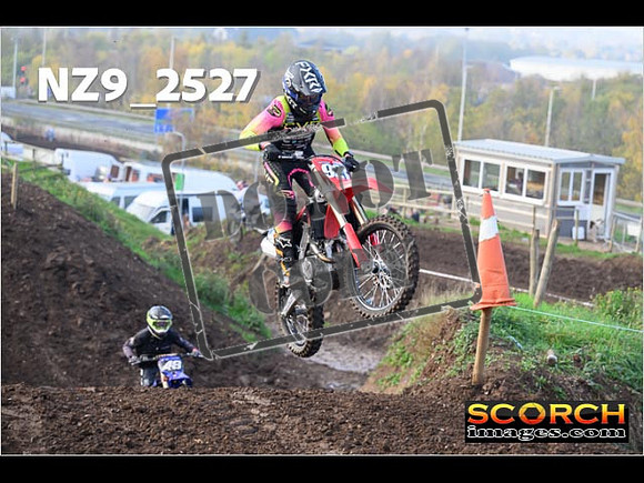 Experts-115