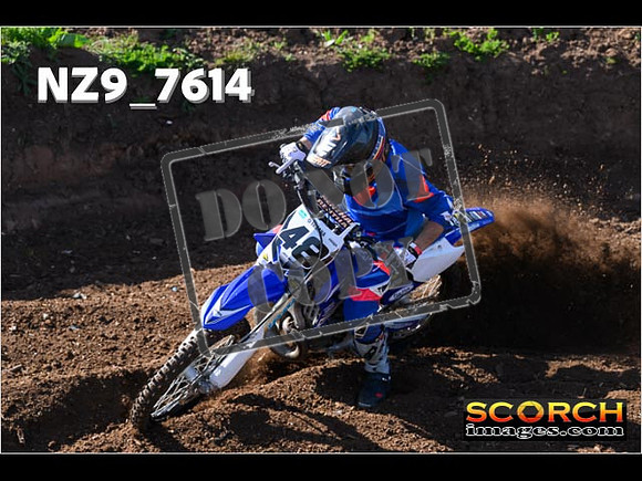 Experts-048