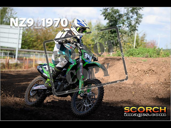 Experts-313