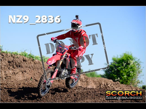Experts-013