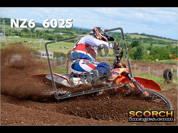 Experts-069