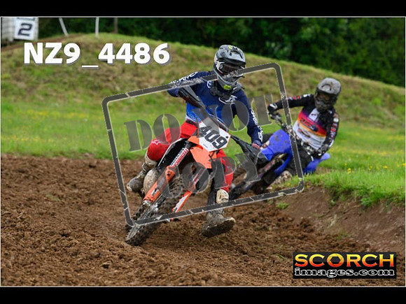 Experts-203