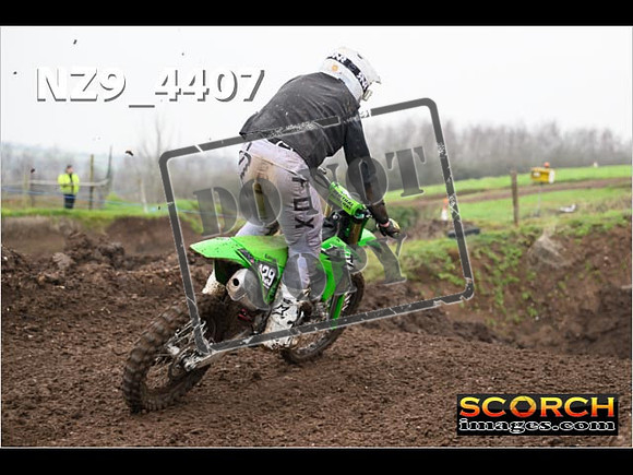 Experts-251