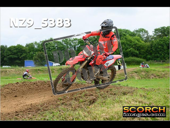 Experts-318