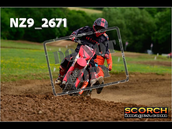 Novice-260