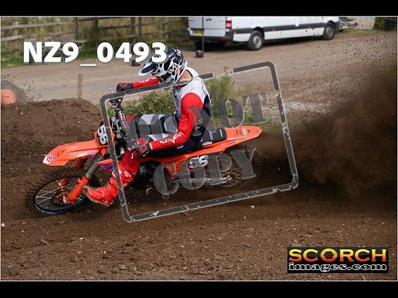 Experts-082