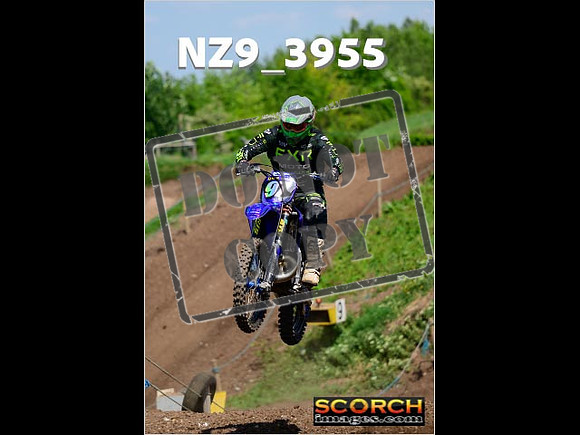 InterGreen-237
