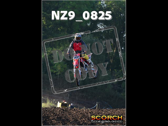 Experts-041