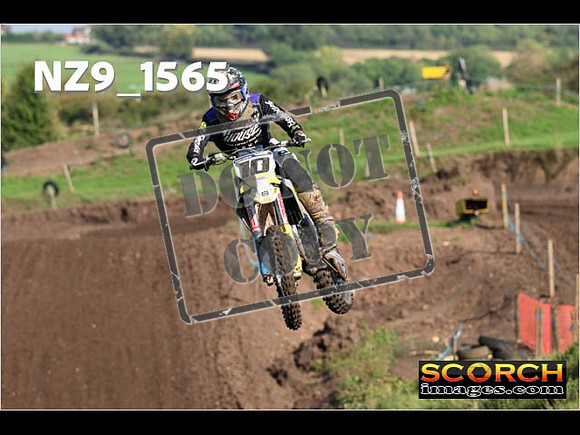 Experts-248