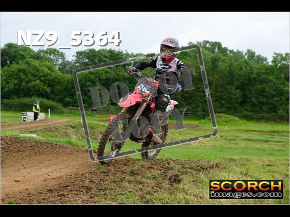 Experts-299