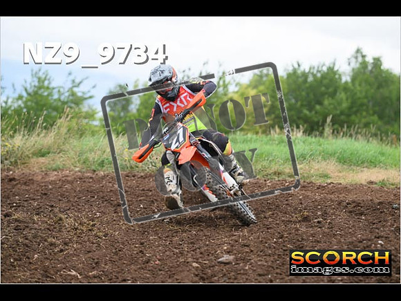 Experts-126