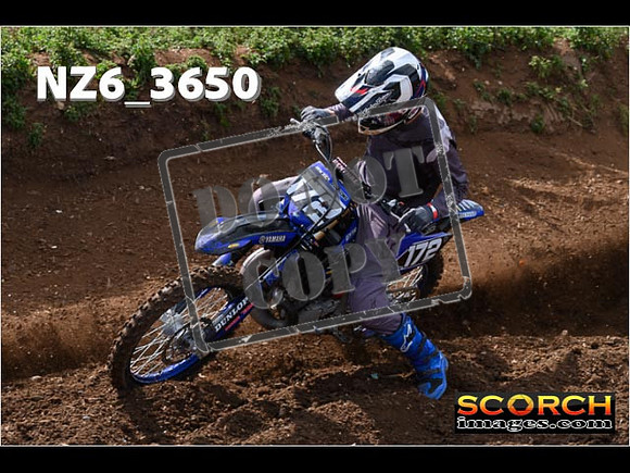 Experts-076