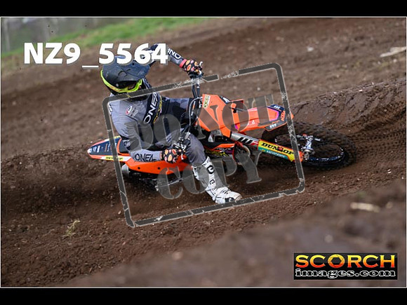 Experts-073