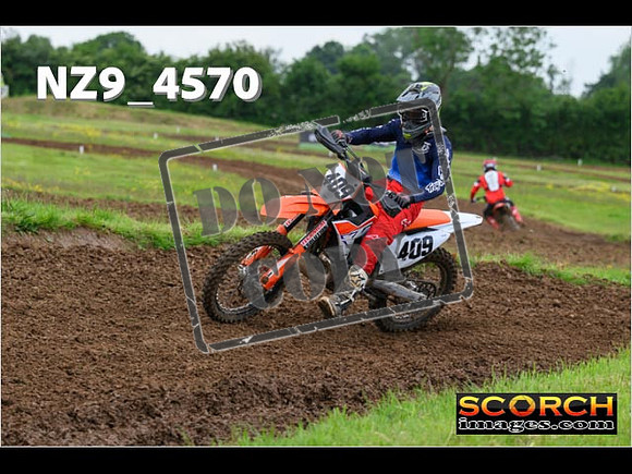 Experts-286