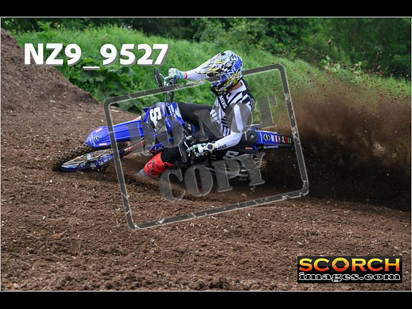 Experts-049
