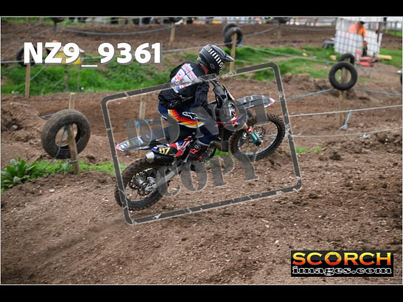 Experts-079