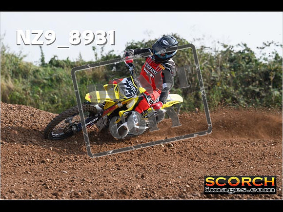Experts-130