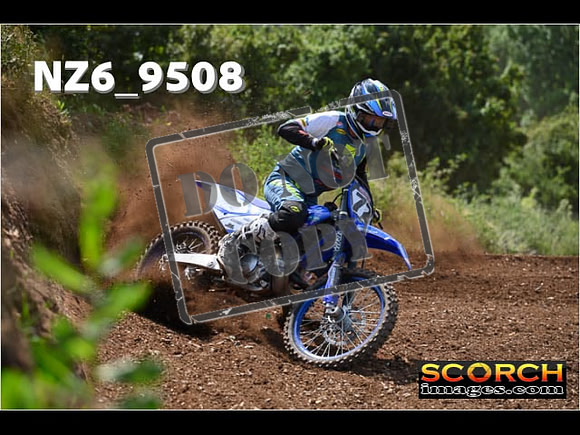Experts-271