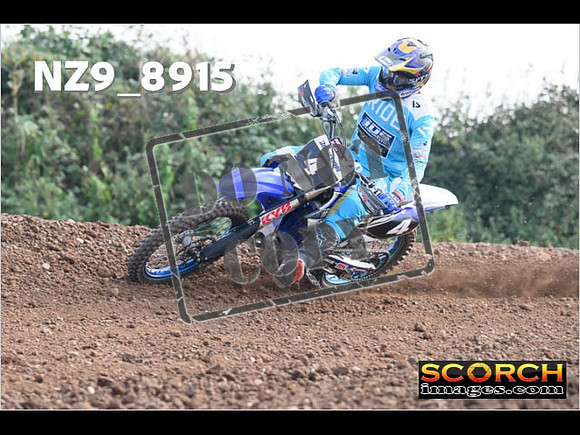 Experts-116