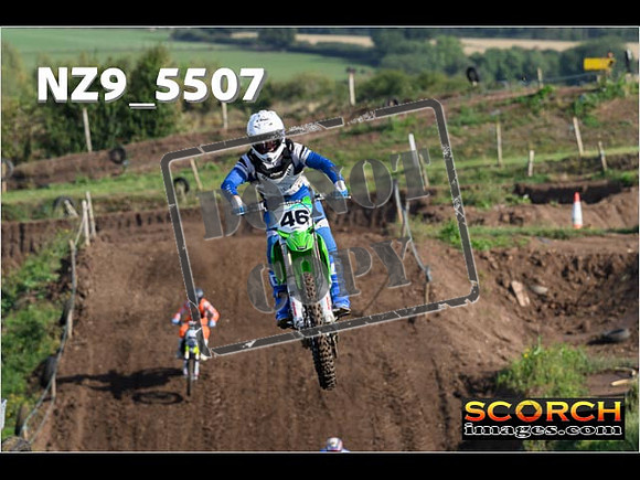 Experts-039
