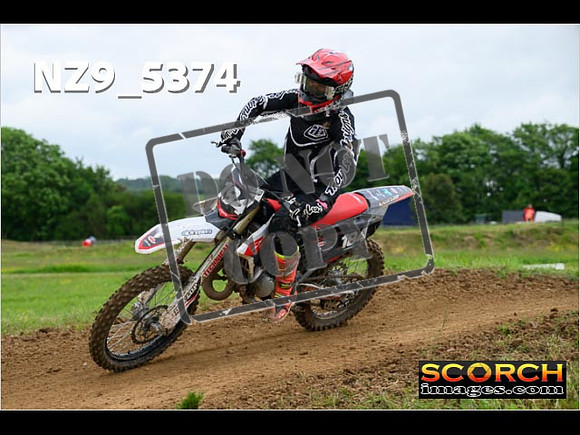 Experts-309