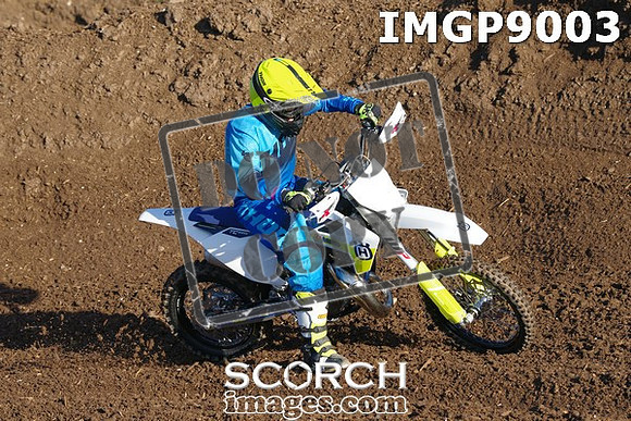 IMGP9003